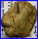 Native American Indian Authentic Artifact Stone Effigy Carved, 2 lb. VA