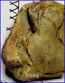 Native American Indian Authentic Artifact Stone Effigy Carved, 2 lb. VA