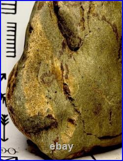 Native American Indian Authentic Artifact Stone Effigy Carved, 2 lb. VA