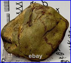 Native American Indian Authentic Artifact Stone Effigy Carved, 2 lb. VA