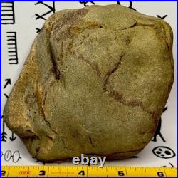 Native American Indian Authentic Artifact Stone Effigy Carved, 2 lb. VA