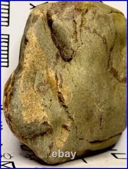 Native American Indian Authentic Artifact Stone Effigy Carved, 2 lb. VA