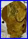 Native American Indian Authentic Artifact Stone Effigy Carved, 3.3 oz. VA