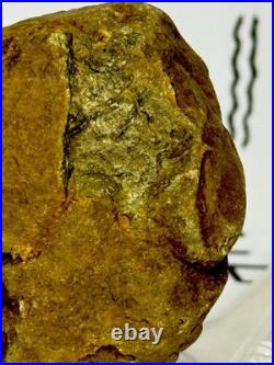 Native American Indian Authentic Artifact Stone Effigy Carved, 3.3 oz. VA