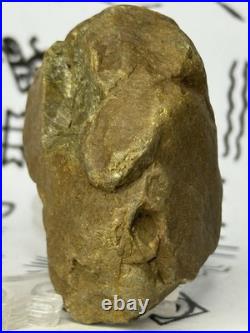Native American Indian Authentic Artifact Stone Effigy Carved, 3.3 oz. VA