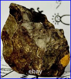 Native American Indian Authentic Artifact Stone Effigy Carved, 3.8 oz. VA Native American Indian Authentic Artifact Stone Effigy Carved, 3.8 oz. VA