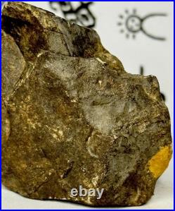 Native American Indian Authentic Artifact Stone Effigy Carved, 3.8 oz. VA Native American Indian Authentic Artifact Stone Effigy Carved, 3.8 oz. VA