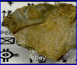 Native American Indian Authentic Artifact Stone Effigy Carved, 3.8 oz. VA