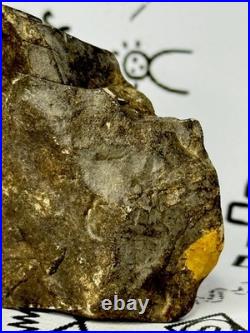 Native American Indian Authentic Artifact Stone Effigy Carved, 3.8 oz. VA Native American Indian Authentic Artifact Stone Effigy Carved, 3.8 oz. VA