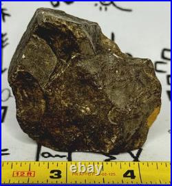 Native American Indian Authentic Artifact Stone Effigy Carved, 3.8 oz. VA Native American Indian Authentic Artifact Stone Effigy Carved, 3.8 oz. VA