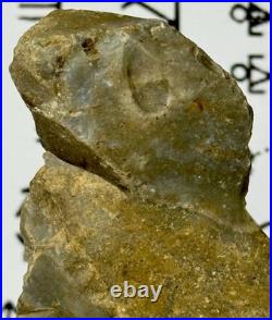 Native American Indian Authentic Artifact Stone Effigy Carved, 3.8 oz. VA