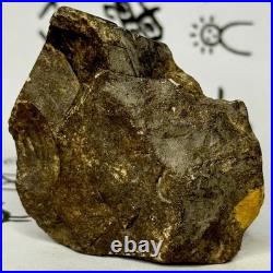 Native American Indian Authentic Artifact Stone Effigy Carved, 3.8 oz. VA Native American Indian Authentic Artifact Stone Effigy Carved, 3.8 oz. VA