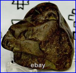 Native American Indian Authentic Artifact Stone Effigy Carved, 4.2 oz. VA