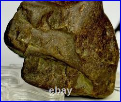 Native American Indian Authentic Artifact Stone Effigy Carved, 4.2 oz. VA