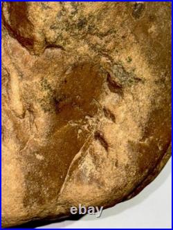 Native American Indian Authentic Artifact Stone Effigy Carved, 6 lb 5 oz. VA