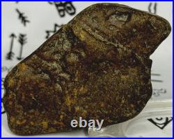 Native American Indian Authentic Artifact Stone Effigy Carved, 7.1 oz. VA