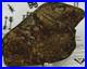 Native American Indian Authentic Artifact Stone Effigy Carved, 7.1 oz. VA