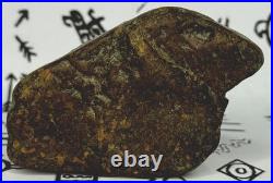 Native American Indian Authentic Artifact Stone Effigy Carved, 7.1 oz. VA