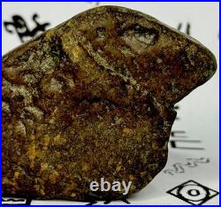 Native American Indian Authentic Artifact Stone Effigy Carved, 7.1 oz. VA