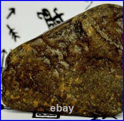 Native American Indian Authentic Artifact Stone Effigy Carved, 7.1 oz. VA