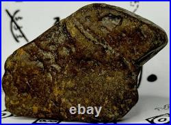 Native American Indian Authentic Artifact Stone Effigy Carved, 7.1 oz. VA