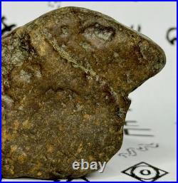 Native American Indian Authentic Artifact Stone Effigy Carved, 7.1 oz. VA