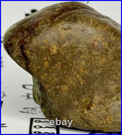 Native American Indian Authentic Artifact Stone Effigy Carved, 7.1 oz. VA