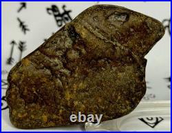 Native American Indian Authentic Artifact Stone Effigy Carved, 7.1 oz. VA
