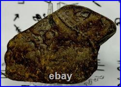 Native American Indian Authentic Artifact Stone Effigy Carved, 7.1 oz. VA