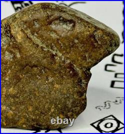 Native American Indian Authentic Artifact Stone Effigy Carved, 7.1 oz. VA