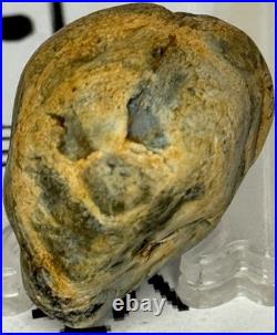 Native American Indian Authentic Artifact Stone Effigy Carved. 8 oz. VA