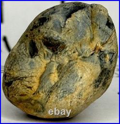 Native American Indian Authentic Artifact Stone Effigy Carved. 8 oz. VA