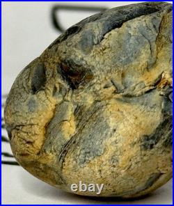 Native American Indian Authentic Artifact Stone Effigy Carved. 8 oz. VA