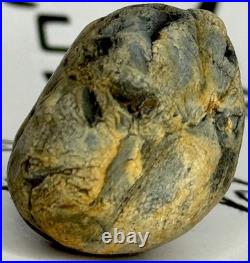 Native American Indian Authentic Artifact Stone Effigy Carved. 8 oz. VA