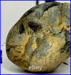 Native American Indian Authentic Artifact Stone Effigy Carved. 8 oz. VA