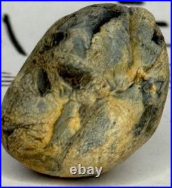 Native American Indian Authentic Artifact Stone Effigy Carved. 8 oz. VA