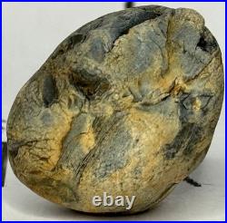 Native American Indian Authentic Artifact Stone Effigy Carved. 8 oz. VA