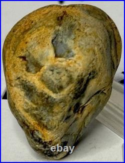 Native American Indian Authentic Artifact Stone Effigy Carved. 8 oz. VA