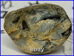 Native American Indian Authentic Artifact Stone Effigy Carved. 8 oz. VA