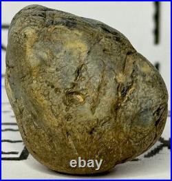 Native American Indian Authentic Artifact Stone Effigy Carved. 8 oz. VA