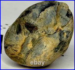 Native American Indian Authentic Artifact Stone Effigy Carved. 8 oz. VA