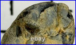 Native American Indian Authentic Artifact Stone Effigy Carved. 8 oz. VA