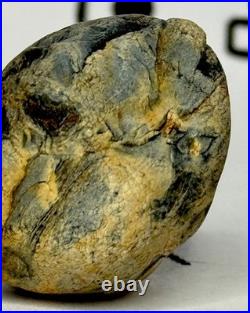 Native American Indian Authentic Artifact Stone Effigy Carved. 8 oz. VA