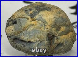 Native American Indian Authentic Artifact Stone Effigy Carved. 8 oz. VA