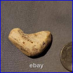 Native American Indian Authentic Carved Effigy Stone. Art Tool Artifact. E07 Native American Indian Authentic Carved Effigy Stone. Art Tool Artifact. E07