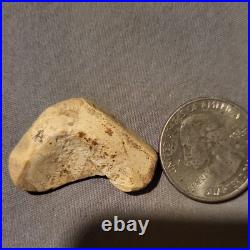 Native American Indian Authentic Carved Effigy Stone. Art Tool Artifact. E07 Native American Indian Authentic Carved Effigy Stone. Art Tool Artifact. E07