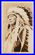Native American Indian RPPC Sioux Chief with Headdress Photograph AZO Post Card