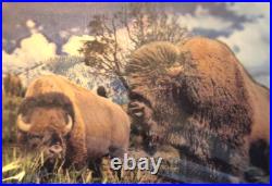 Native American Indian Village, Canoes, Old Horses, Teepee, Artifacts, Art LOT