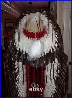 Native American Lakota Style Inspired Painted Case and Double Trailed War Bonnet