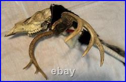 Native American Made Ceremonial/Medicine Stick Deer Skull Antlers Assorted Furs